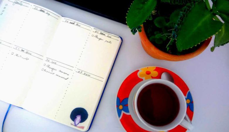 uma mesa com uma xícara de chá, um bule de chá, um vaso de planta e uma agenda aberta no planejamento da semana que diz: revisar posts, revisão semanal, planejar a semana e mestrado
